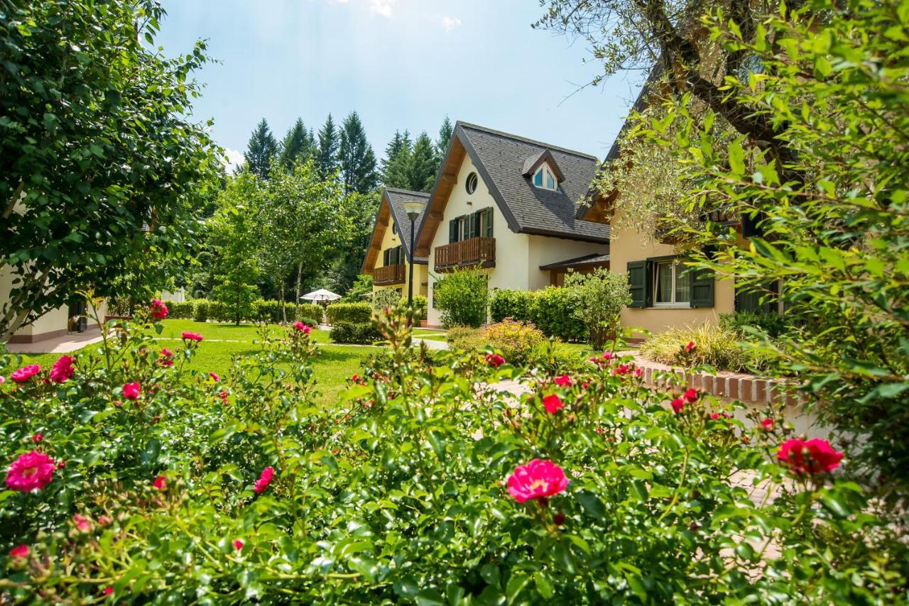 Case Vacanza Orchidea Coreglia Antelminelli Εξωτερικό φωτογραφία